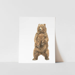 Art print featuring a watercolor illustration of a standing brown bear on a white background.