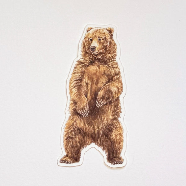 Bear Sticker