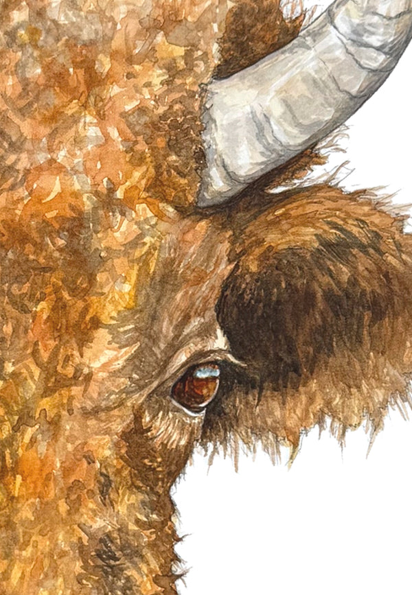 Buffalo Print