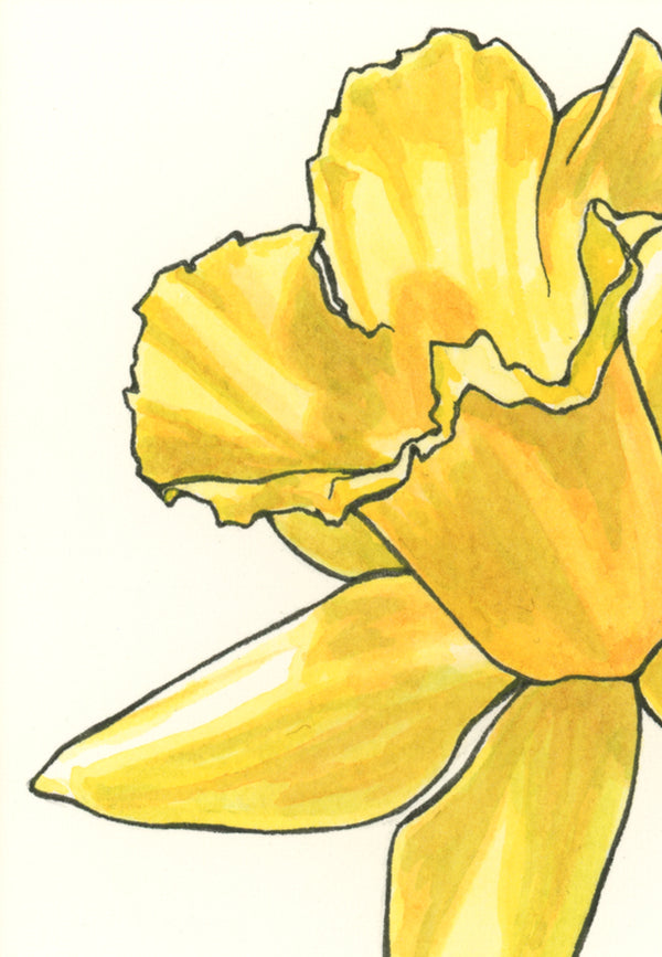 Solar Plexus Chakra Daffodil Print