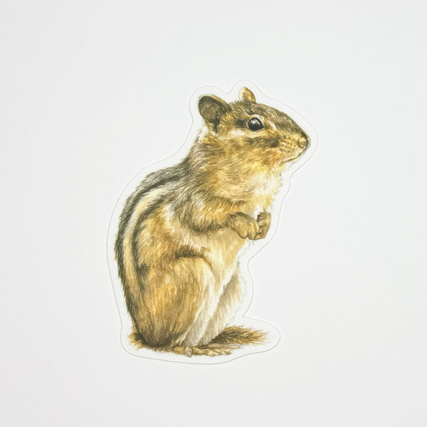 Chipmunk Sticker