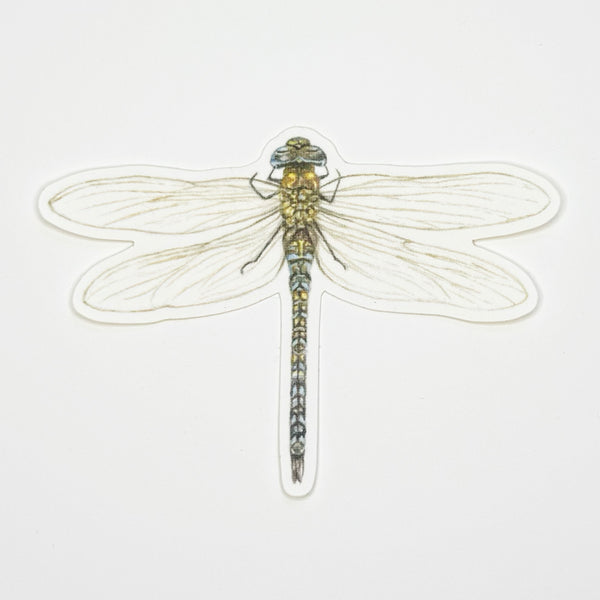 Dragonfly Sticker