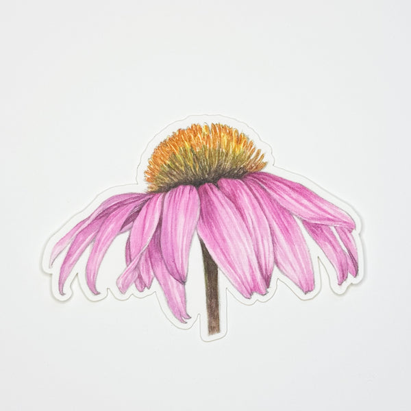 Echinacea Sticker