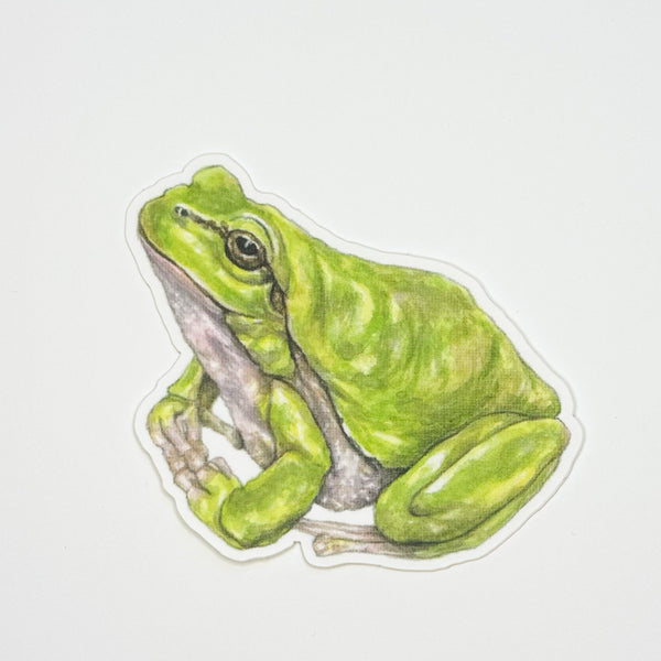 Frog Sticker