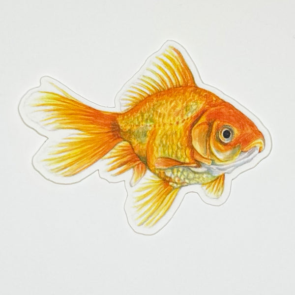 Goldfish Sticker