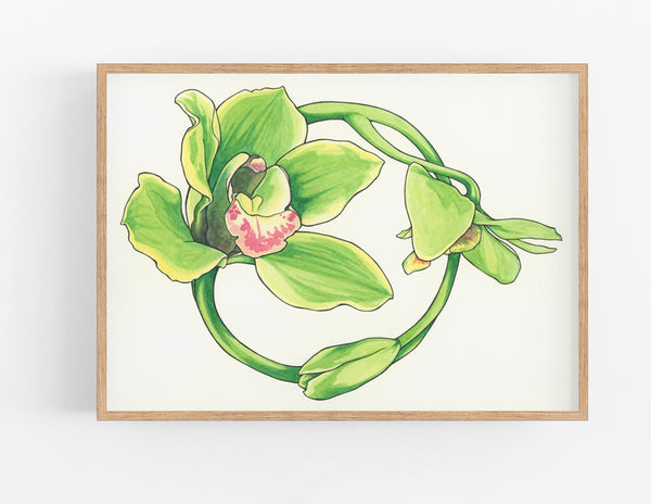 Green Orchid Print