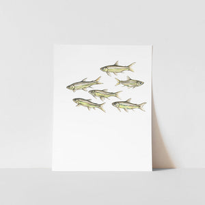 White paper with gold fish illustrations on a white background