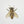 Honey Bee Sticker