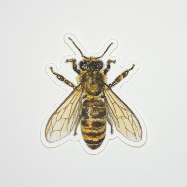 Honey Bee Sticker