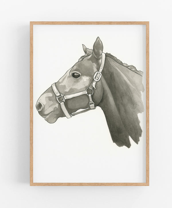 Beauty the Stallion Print