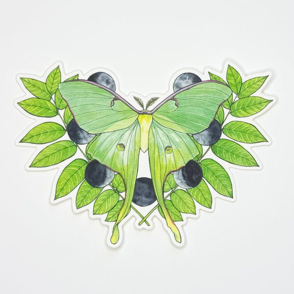 Luna Moth Sticker