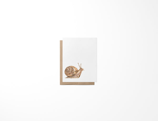 Snail Mini Card