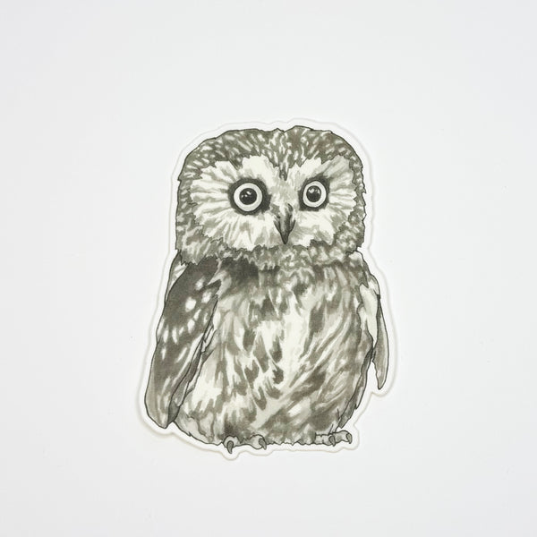 Owl Sticker