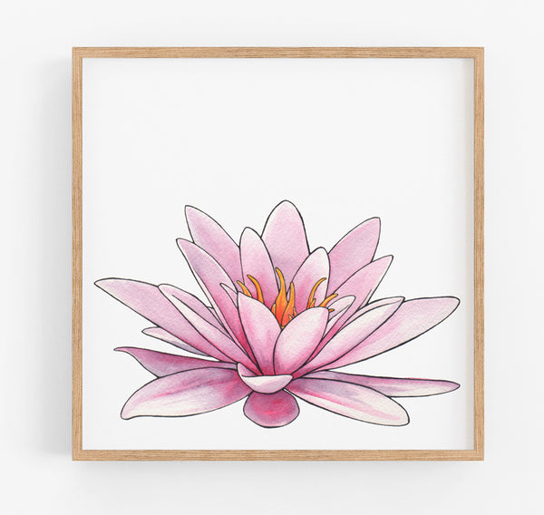 Pink Lily Rising Print