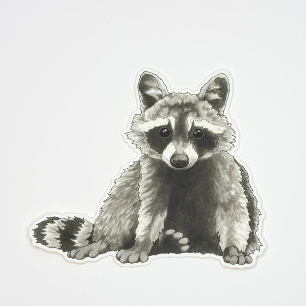 Raccoon Sticker