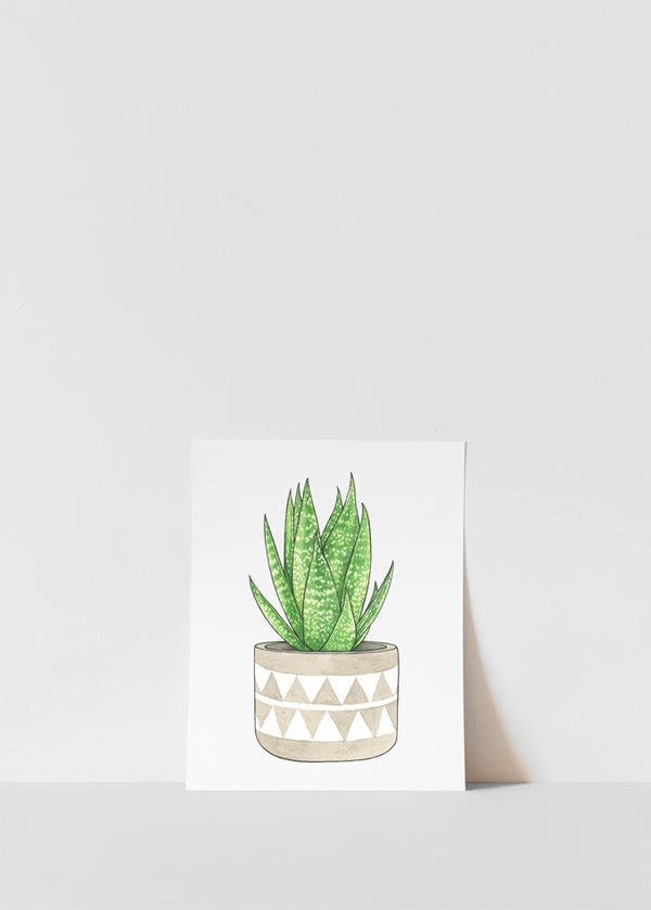 Aloe Vera Print