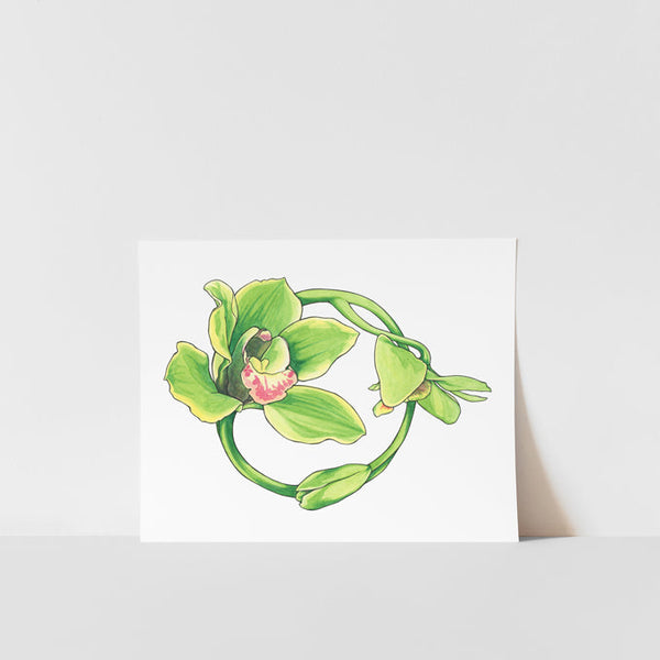 Art print featuring a green orchid on a white background