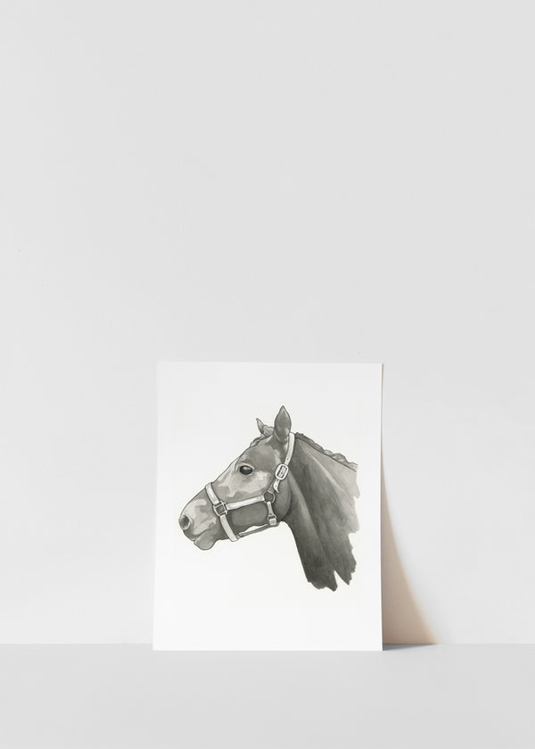 Beauty the Stallion Print