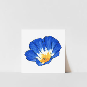 A printed art piece depicting a blue morning glory flower with a white center, displayed on a white background.