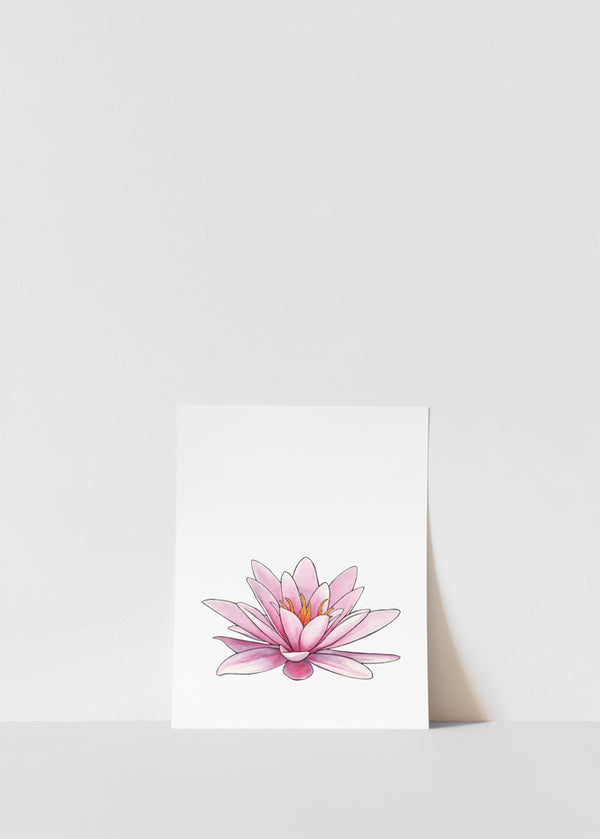 Pink Lily Rising Print