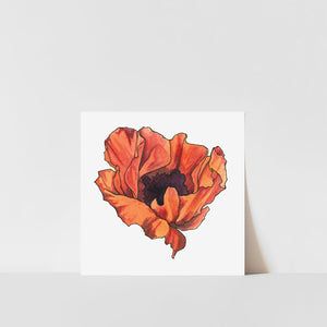 A art print of a red and orange poppy flower with a white background, placed on a surface with a shadow cast on the wall behind it.