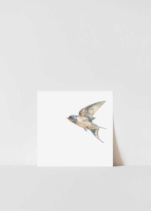 Swallow Print