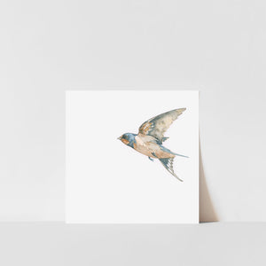 A art print of a swallow bird with a white border, presented against a plain background.