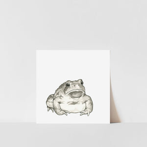 A black and white print of a toad on a white background, presented in a simple frame.
