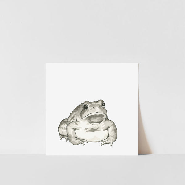 A black and white print of a toad on a white background, presented in a simple frame.