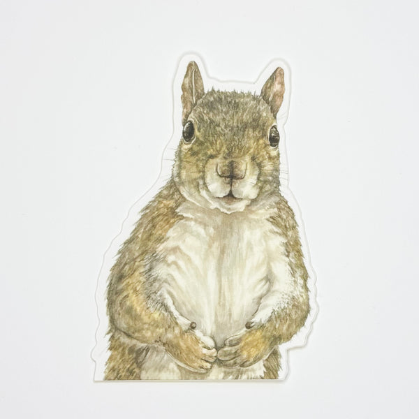 Squirrel Sticker