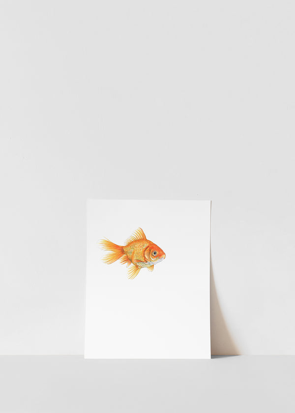 Goldfish Print